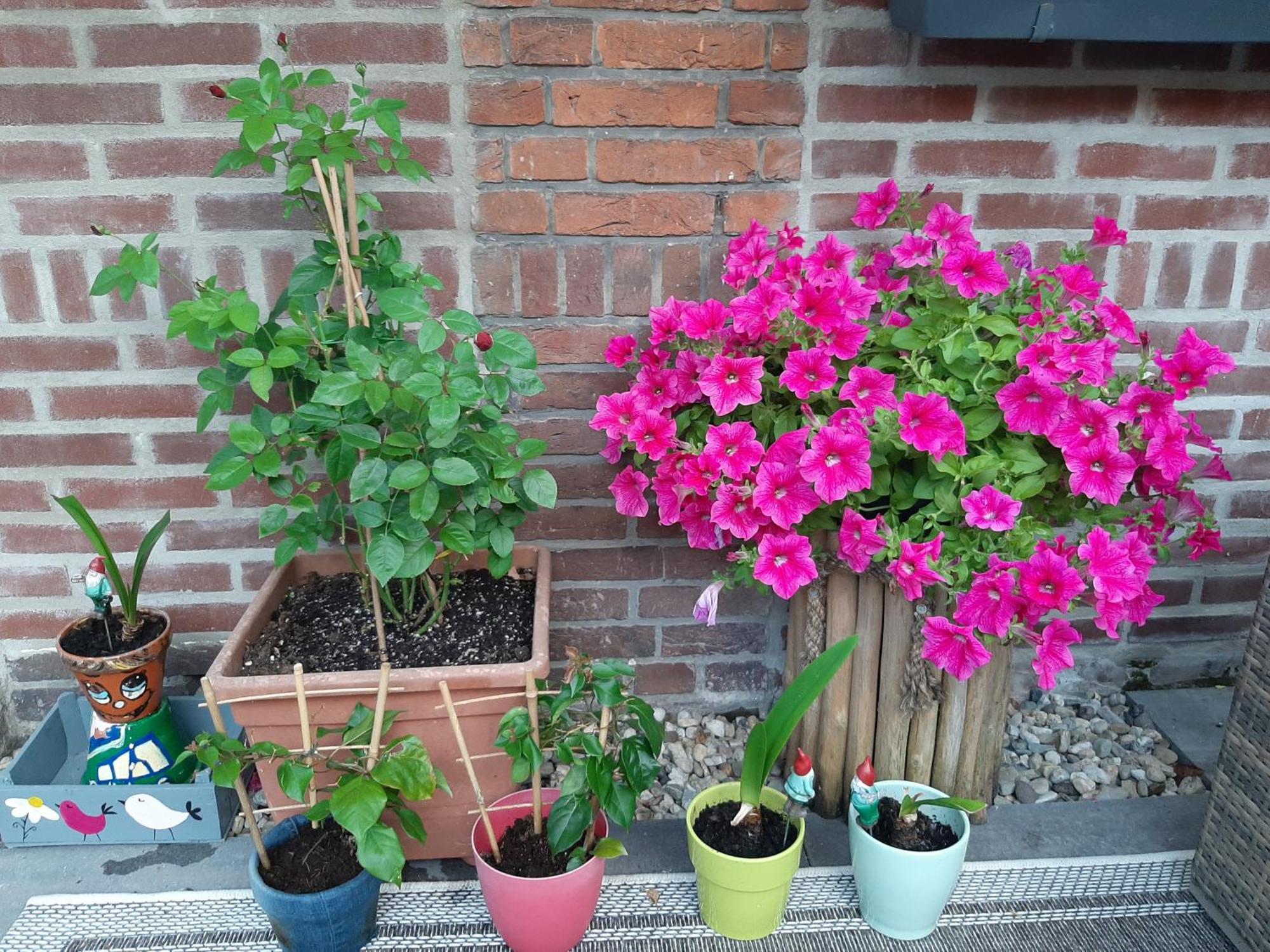 Appartamento Nergens Rotterdam Esterno foto